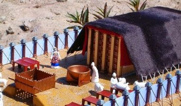 Reflexión de Shabbat 19/03/2022